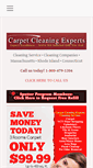 Mobile Screenshot of mycarpetcleaningexperts.com